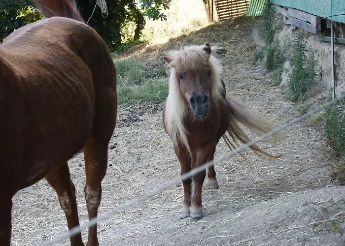 Lägenhet Carnaroli *